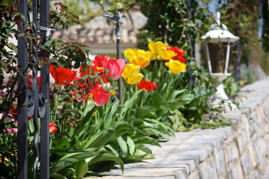 Logis Hotel Restaurant La Porte Des Cevennes Anduze Dış mekan fotoğraf